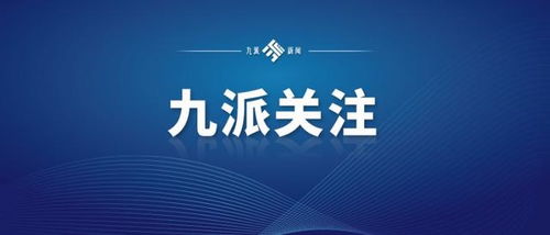 武汉知识产权保护中心 停止部分专利代理机构预审案件代理服务资格